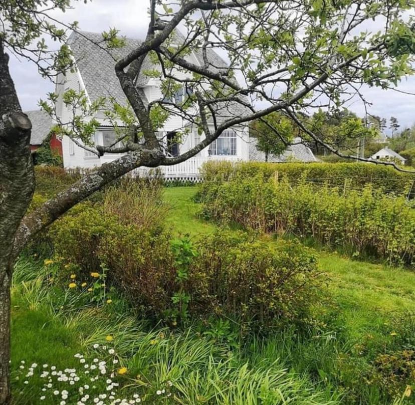 Shared Farmhouse Stavanger Exterior foto